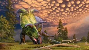 Reconstruction of Lokiceratops Surprised by Crocodilian Crop