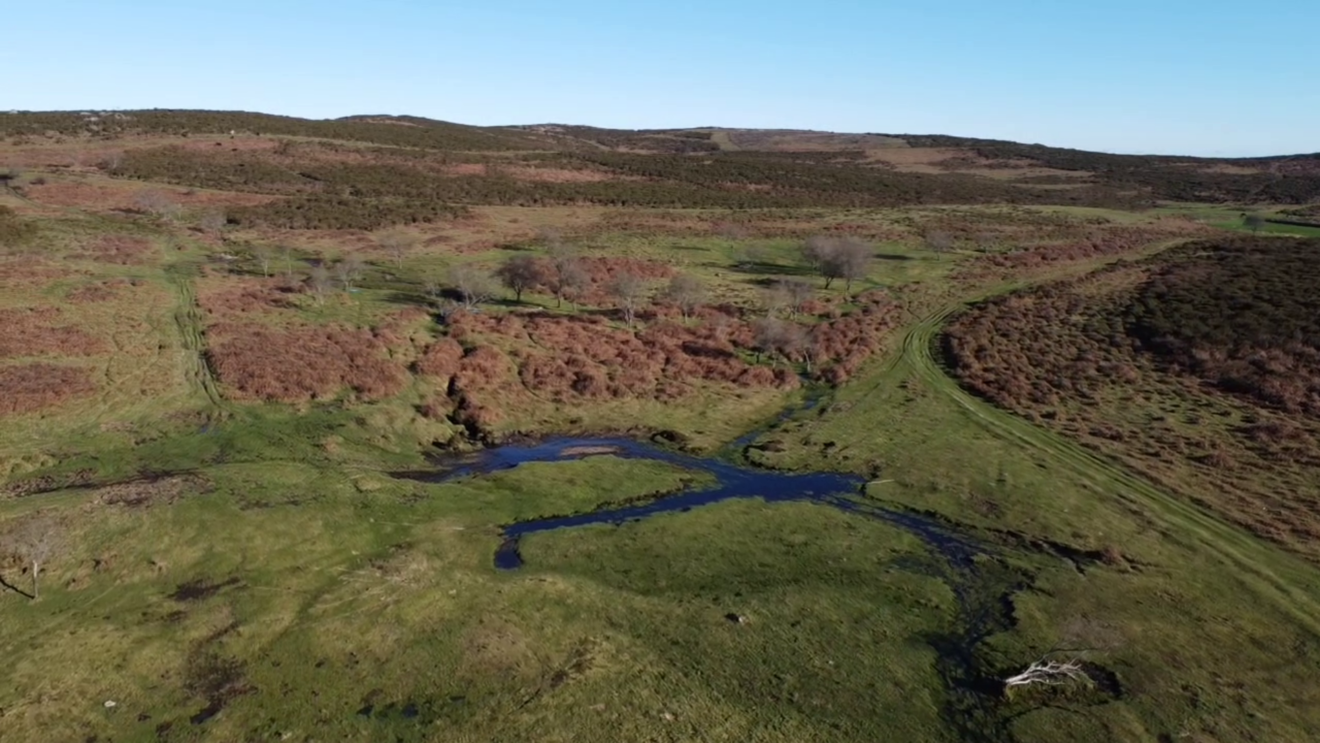 Ecoloxistas en Acción chama a 'restaurar a natureza' no día mundial dos Humidais