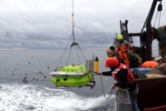 A mooring being deployed by a crane over the side of a fishing vessel by crew members in orange safety vest and hard hats