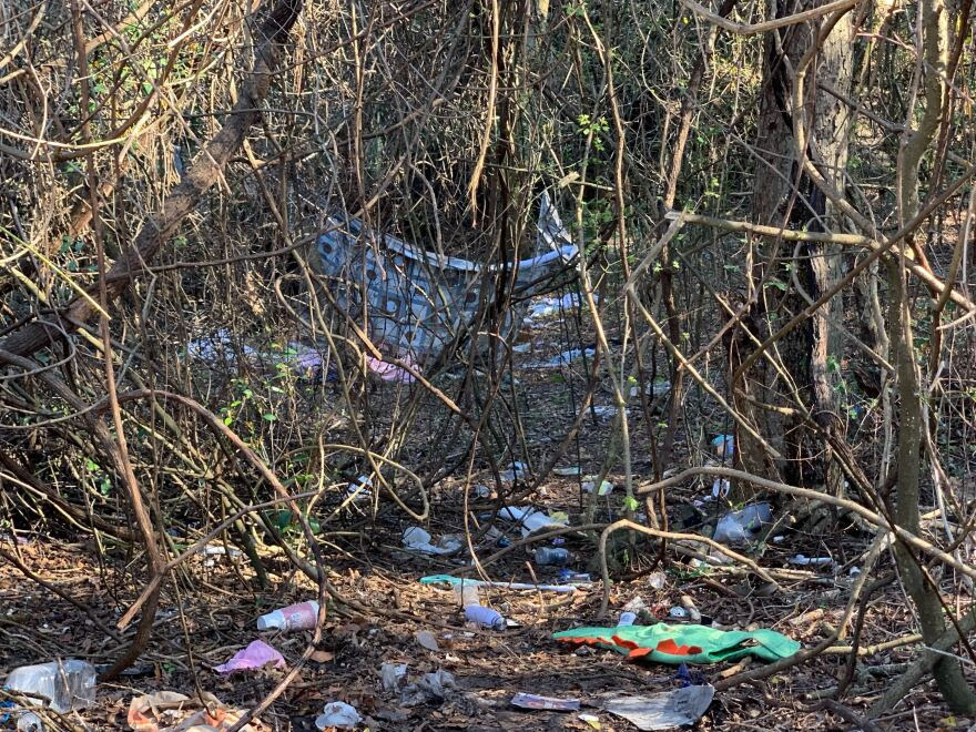 Various items, including a shopping cart, appear in the forest behind Alight Gainesville. (Tomas Curcio/WUFT News)