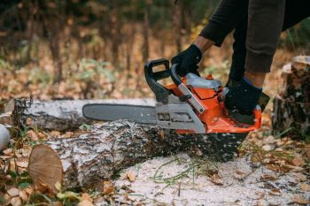 A chainsaw rips through wood.