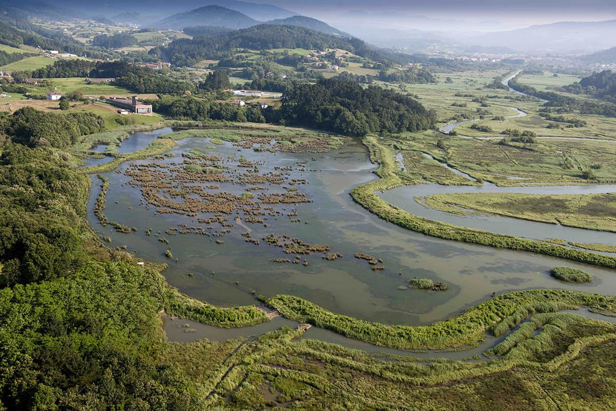 Denuncian la aprobación de la reducción del caudal mínimo ecológico en los ríos de Busturialdea y la exención del pago del canon del agua con carácter retroactivo