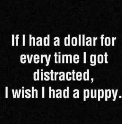 Joke-Distracted