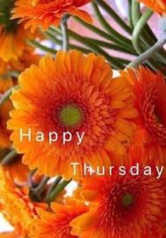 Thursday-Happy-Orange-Flowers