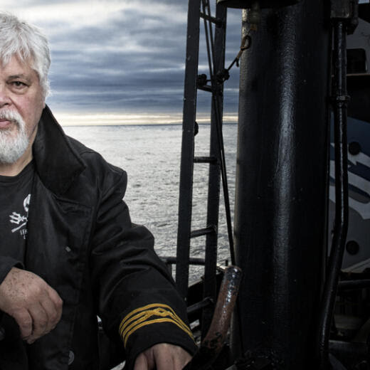 Paul Watson à bord du Steve Irwin.