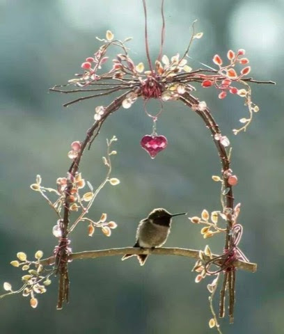 Hummingbird-Heart-Perch