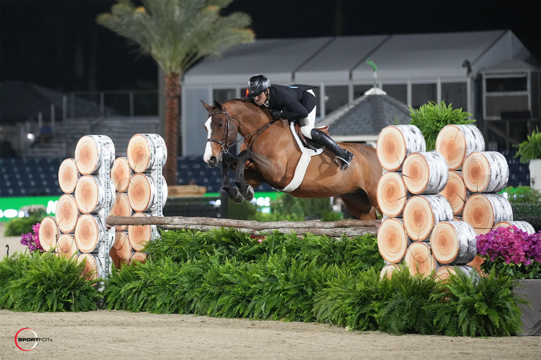 nick-haness-queen-celeste-sportfot-1734-nh104757 image