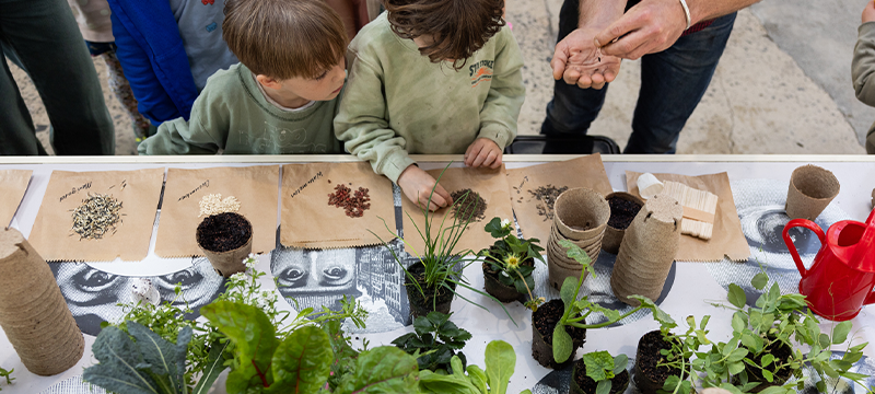 Kids planting seeds