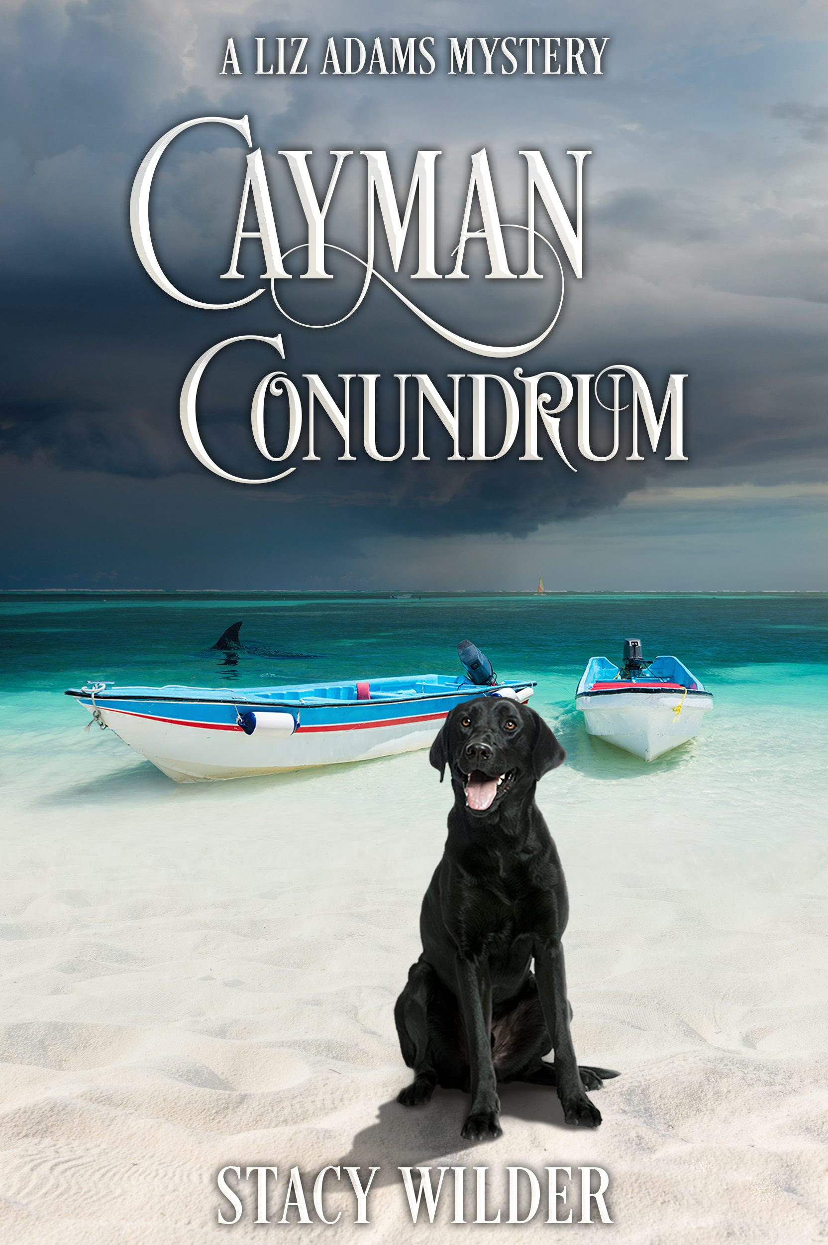Cayman Conundrum by Stacy Wilder