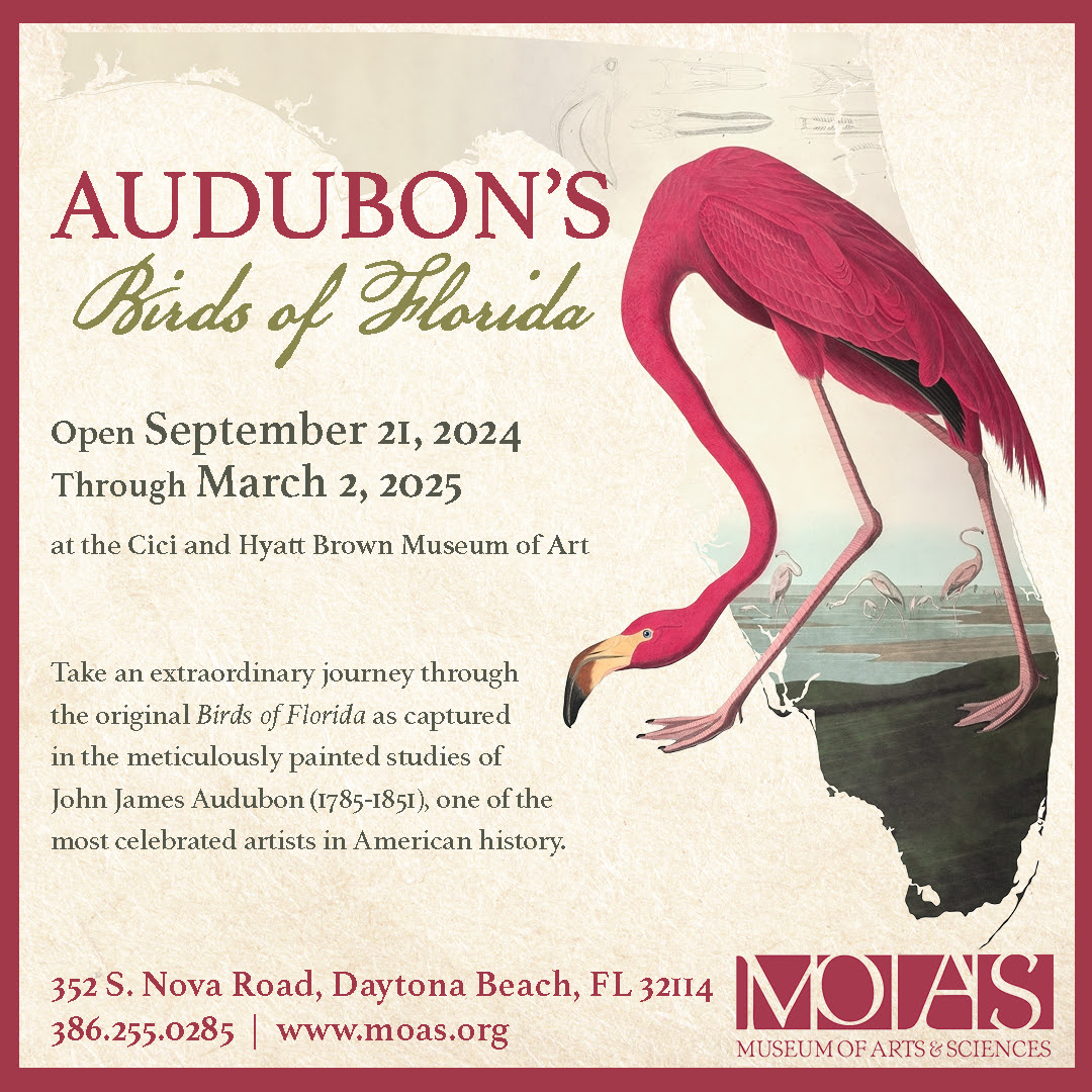 A flamingo with its long neck bent toward the ground. Text to the right says Audubon's Birds of Florida Open September 21, 2024 through March 2, 2025