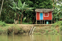 Vivienda afro en la ribera del río Anchicayá.