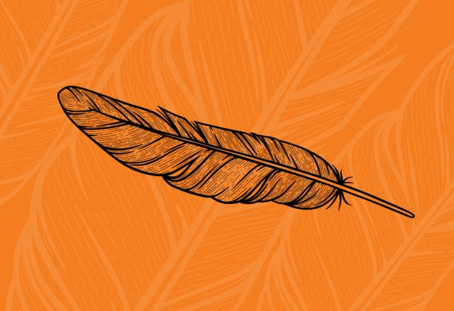 Orange feather