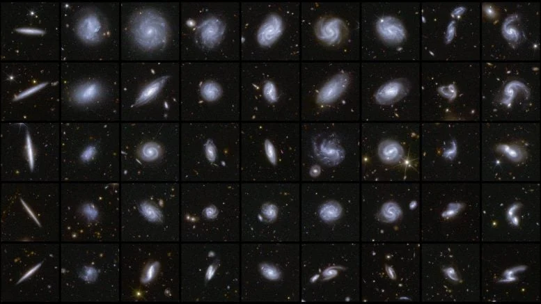Galaxies in Different Shapes Captured by Euclid
