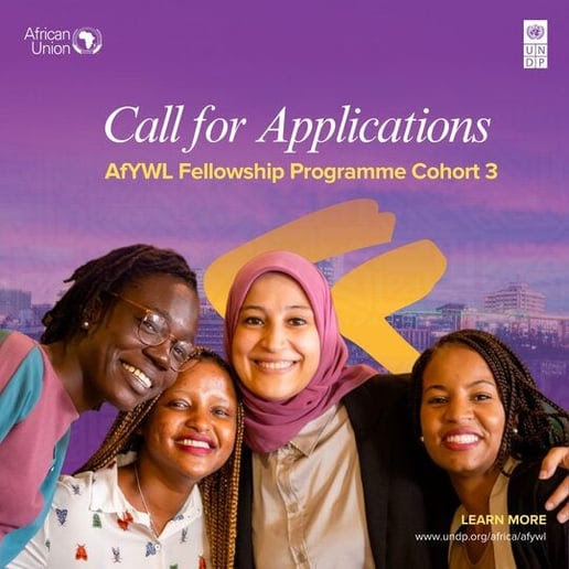 auc-undp-afywl-fellowship-programm2-2024