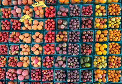 Array of colorful tomatoes from Greenmarket