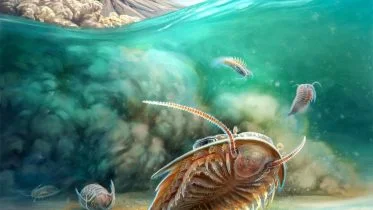 Artistic Reconstruction of Two Species of Trilobite Volcanic Flow