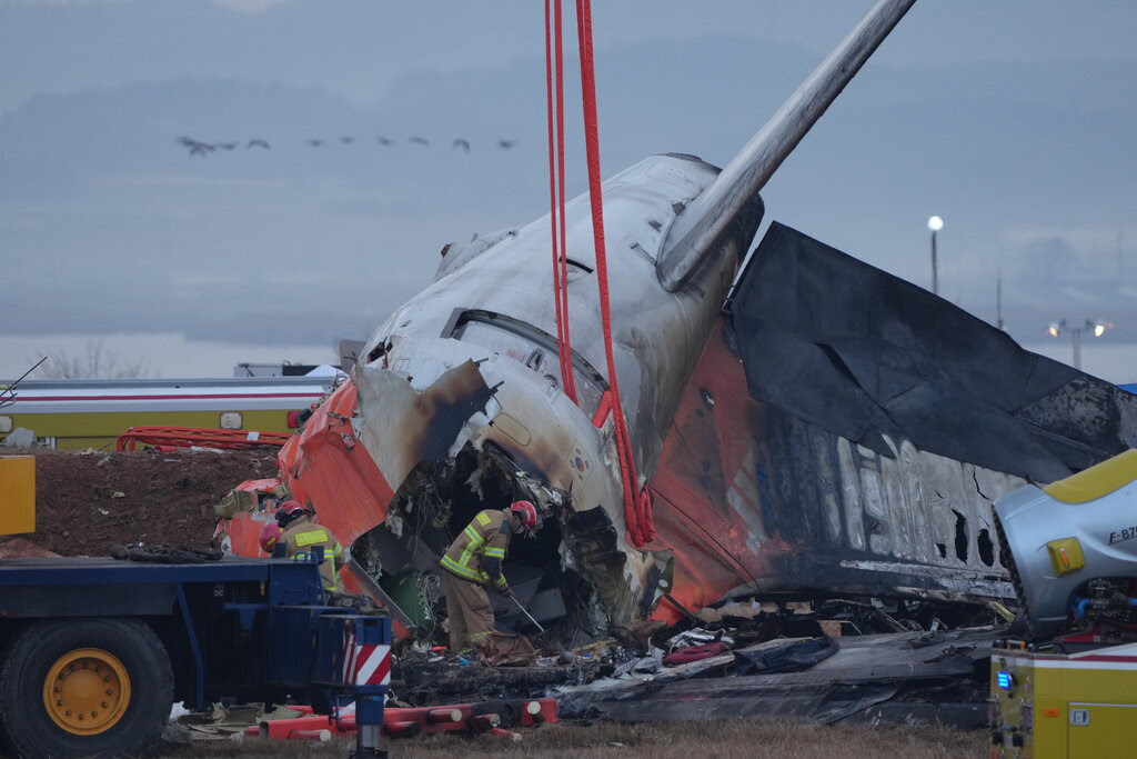 A flock of birds can be seen behind the wreckage of the Jeju Air plane.