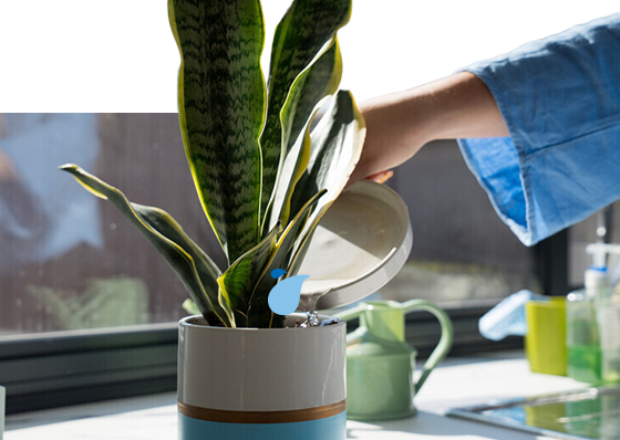 A plant trough being watered by a green watering can