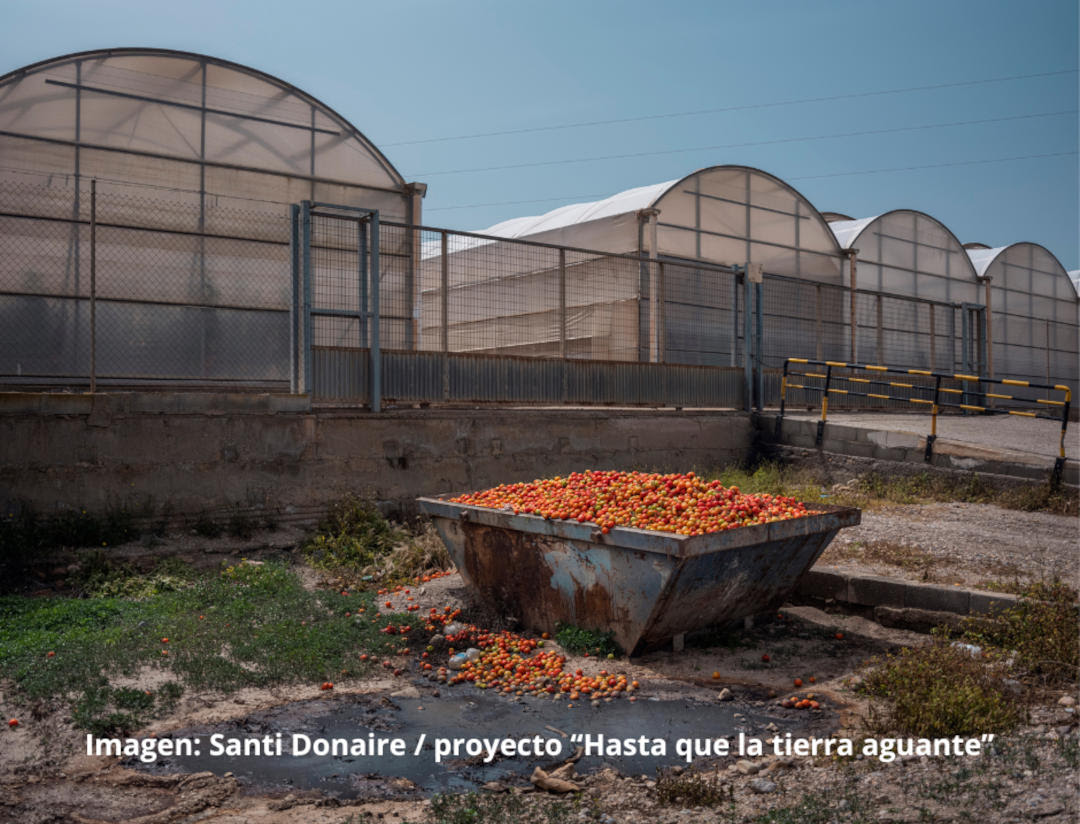 Los invernaderos no son estancos: sus plaguicidas escapan y contaminan el entorno