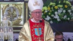 parolin-3.jpg