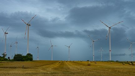 Crise climatique : les émissions de gaz à effet de serre en baisse de 8,3% en 2023 dans l'Union européenne