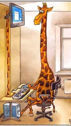 Giraffe-Computer-Screen