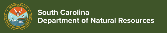 SCDNR color logo and South Carolina Department of Natural Resources in text on green background