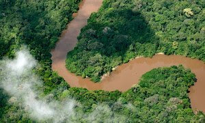 La sequía, sin precedentes desde el año pasado y que ha dejado los ríos de la cuenca del Amazonas en su nivel más bajo. las familias dependen de esos caudales para transportar y acceder a alimentos, agua, combustible y suministros médicos básicos, así co…