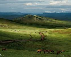 Image de Steppe in Mongolia