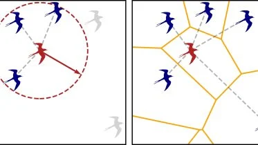 Distance vs Topological Relations