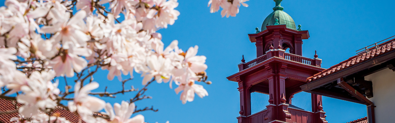 photo of students at Montclair State University