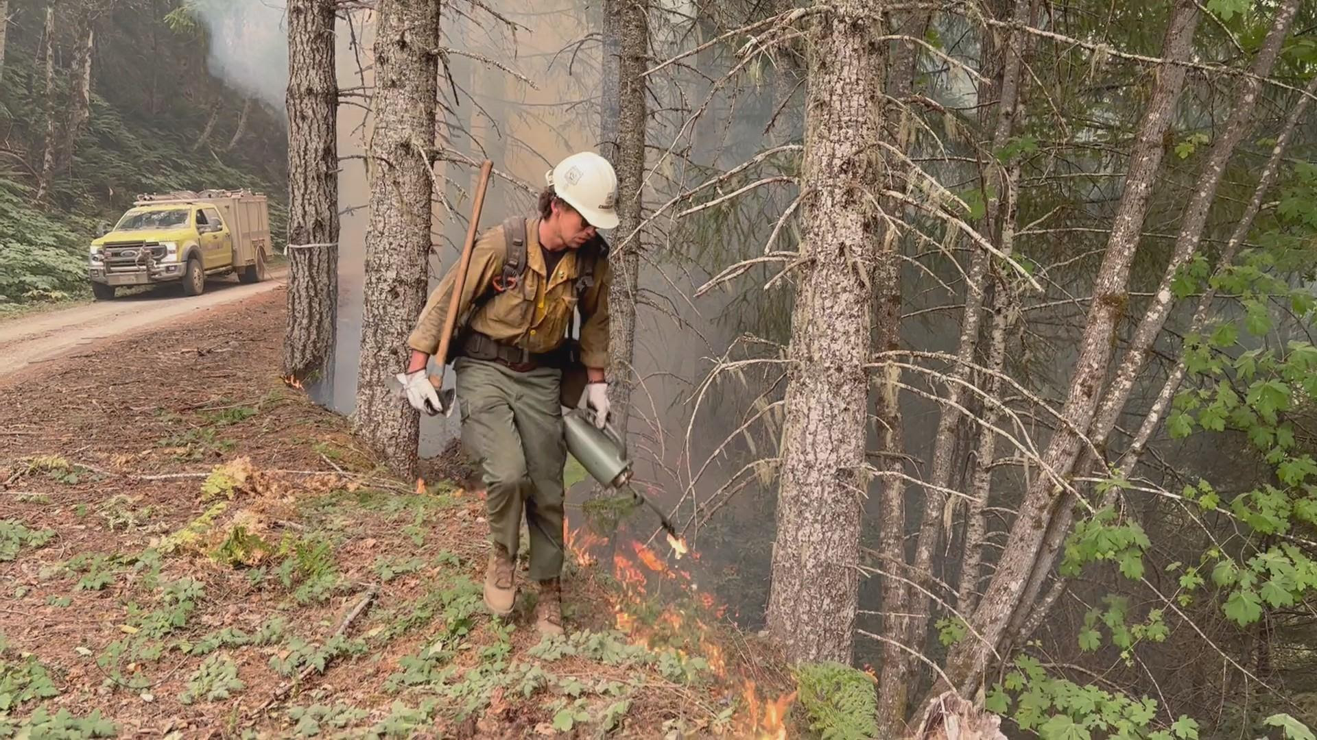 Person in hard hat with ax in one hand, using torch to ignite a controlled burn along tree line.