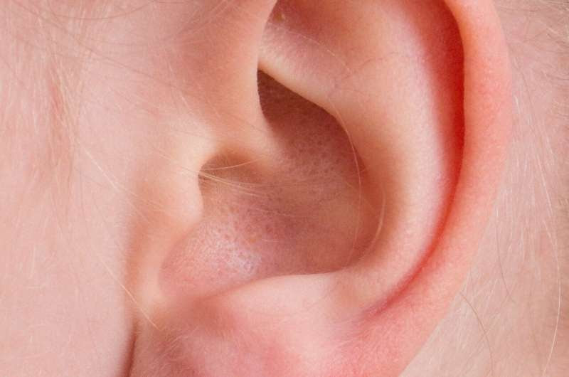 ear