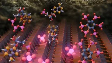 Phosphorus Cleavage From Different Biomolecules