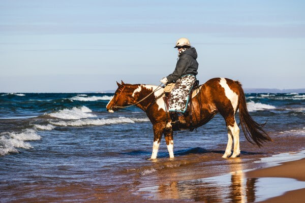 An equestrian astride their horse pick their way across the shoreline.