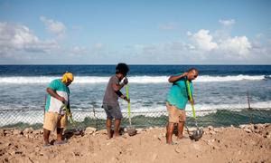 Trabajadores construyen barreras para combatir la erosión marina a lo largo de la costa de Tuvalu.