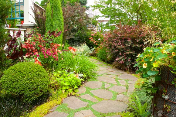 Stone path in garden