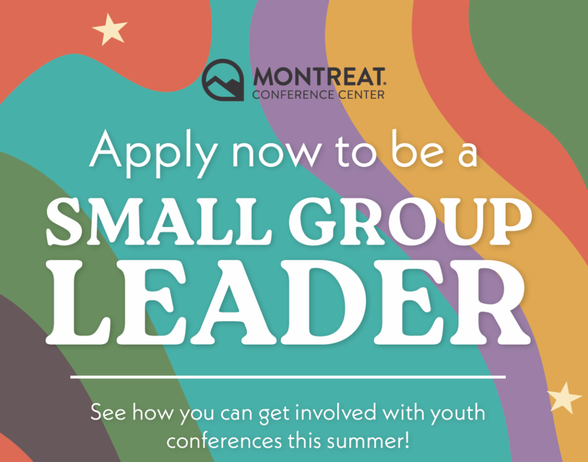 Apply now to be a Small Group Leader - See how you can get involved with youth conferences this summer!