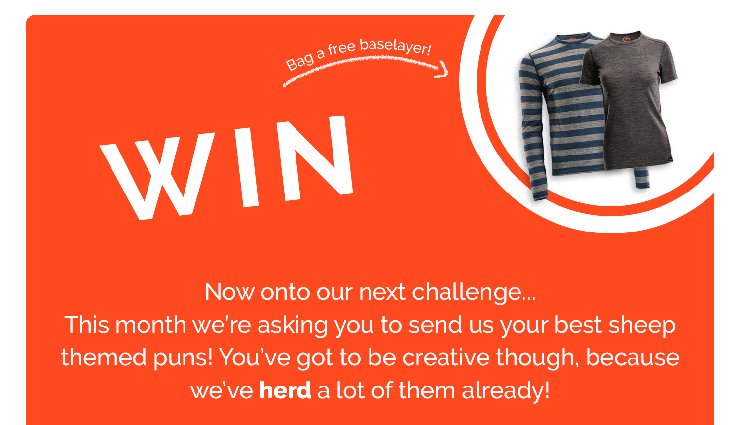 Win! Send us your best sheep themed puns to win a free baselayer!