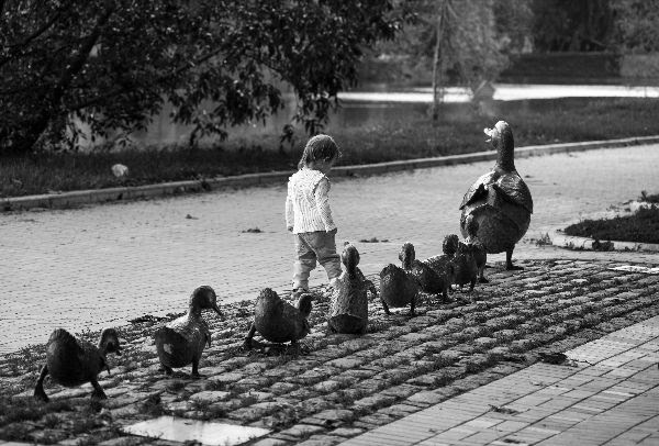 Blessing of the Animals