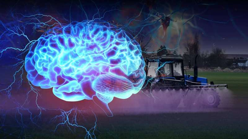 Study reveals lasting effects of common herbicide on brain health