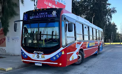 arada de la Línea Universitaria reubicada en 49 entre 4 y 5 por obras de pavimentación en el centro platense.