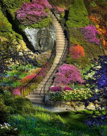 Stairs-in-a-Garden