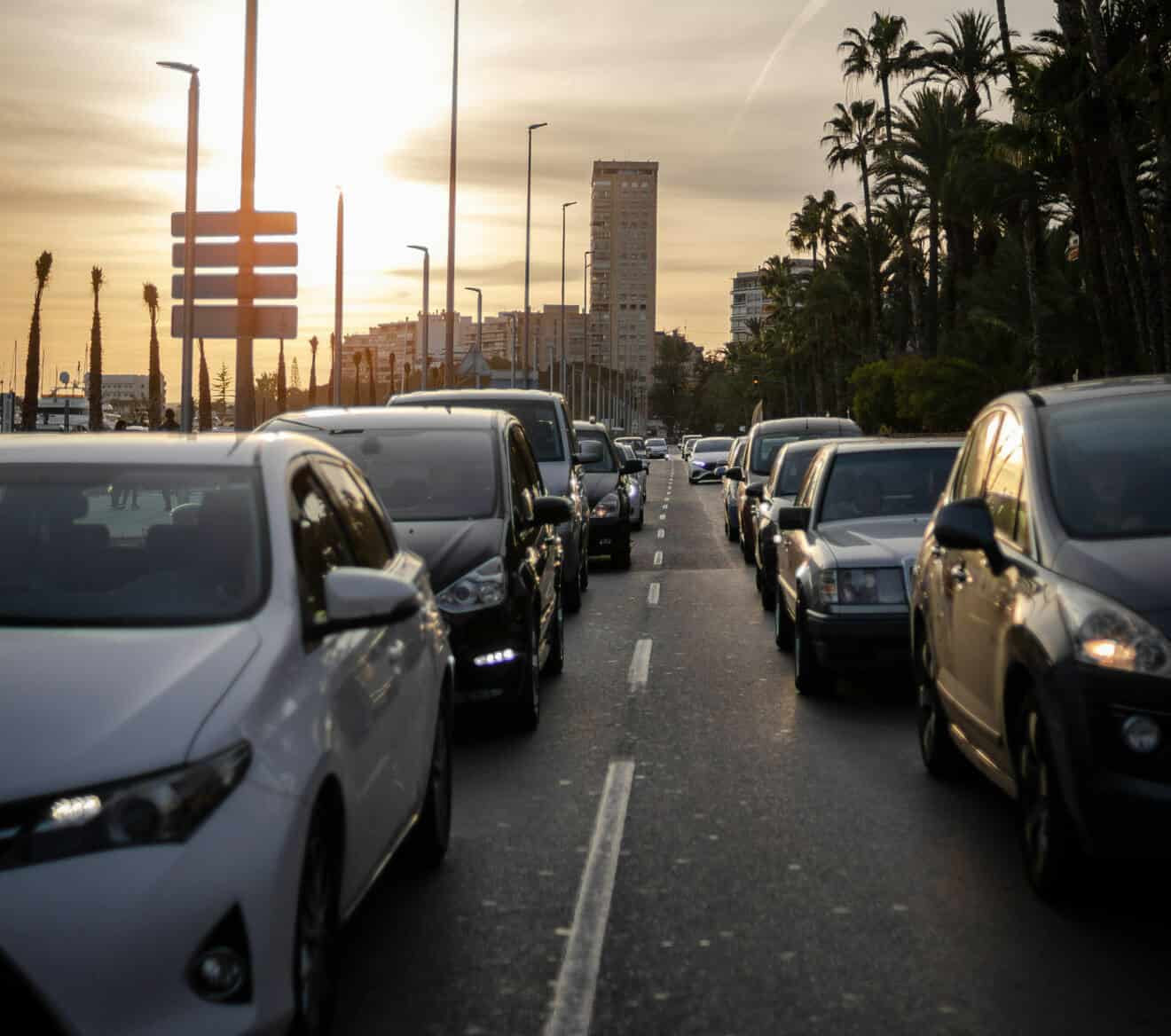 Ecologistes en Acció ‘suspèn’ a les institucions en la setmana de la mobilitat sostenible