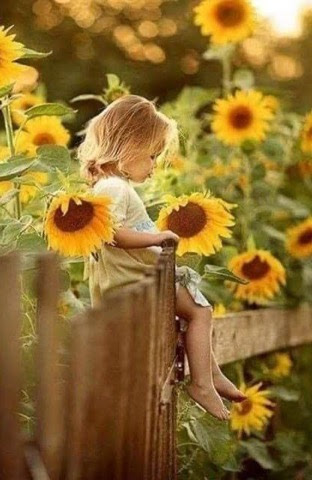 Sunflowers-Girl-on-Fence