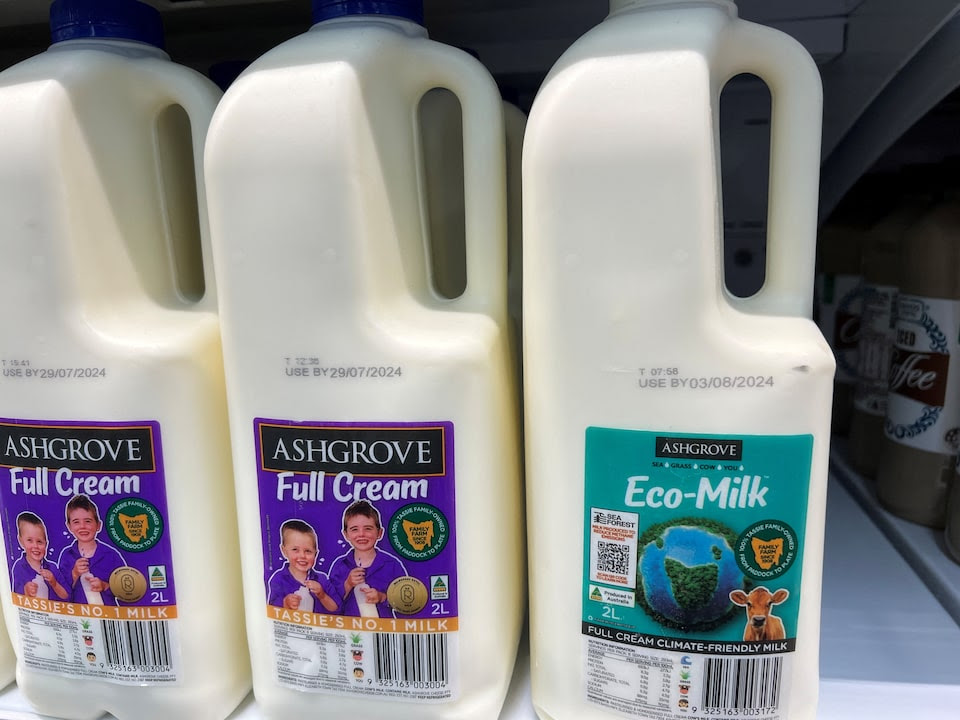 A bottle of ''Eco-Milk'', produced by cows fed with seaweed that makes them emit less greenhouse gas, sits on a supermarket shelf in Riverside, Tasmania, Australia July 19, 2024.