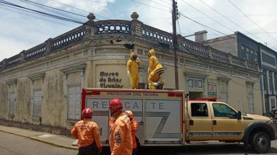 Enjambres de abejas se incrementan en Táchira debido a altas temperaturas