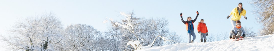 Decorative winter scene banner.
