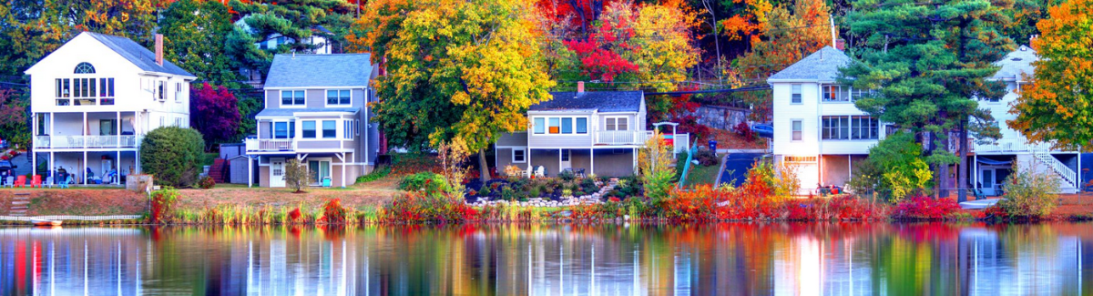 Decorative fall foliage banner.