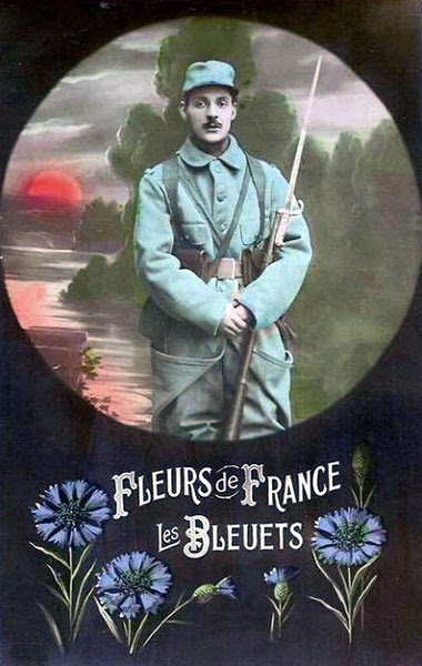 bleuet-france.jpg